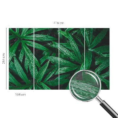 Nyomtatott vlies fotótapéta Természetes növényzet