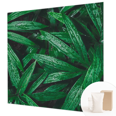 Nyomtatott vlies fotótapéta Természetes növényzet