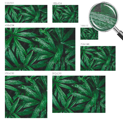 Nyomtatott vlies fotótapéta Természetes növényzet