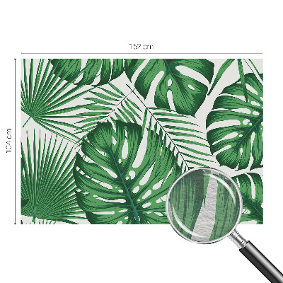 Modern fotótapéta méretre Trópusi levelek