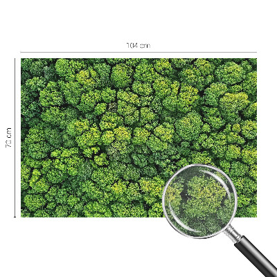 Óriás fotótapéta Erdei panoráma