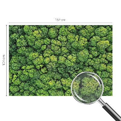 Óriás fotótapéta Erdei panoráma