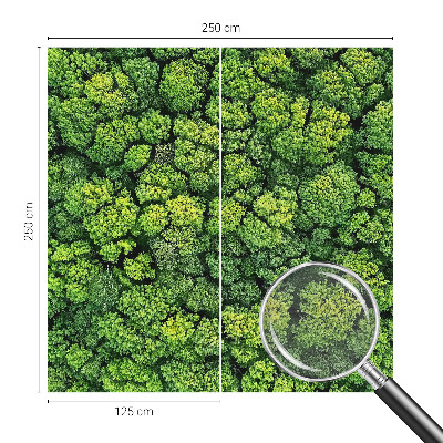 Óriás fotótapéta Erdei panoráma