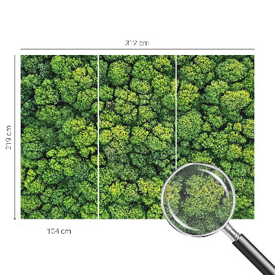 Óriás fotótapéta Erdei panoráma