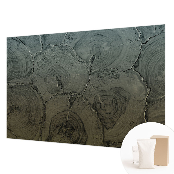 Poszter tapéta falra Fa gyűrűk