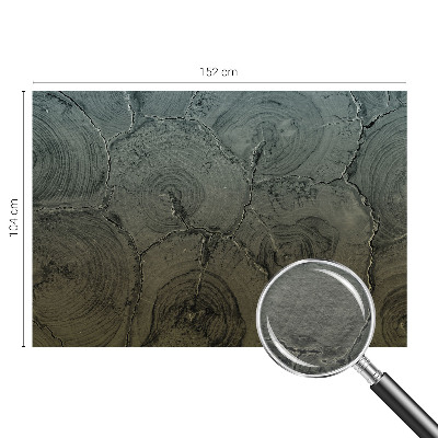 Poszter tapéta falra Fa gyűrűk