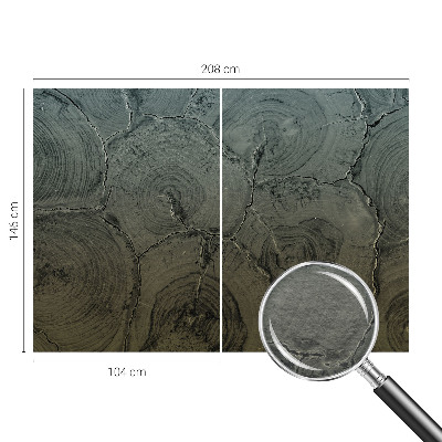 Poszter tapéta falra Fa gyűrűk