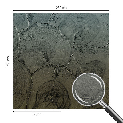 Poszter tapéta falra Fa gyűrűk