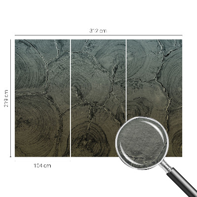 Poszter tapéta falra Fa gyűrűk