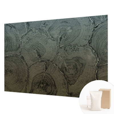 Poszter tapéta falra Fa gyűrűk