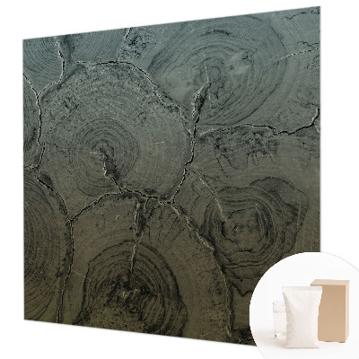 Poszter tapéta falra Fa gyűrűk