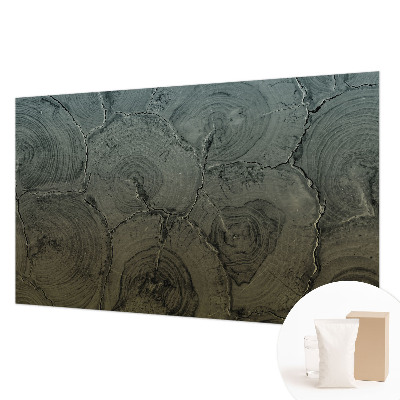 Poszter tapéta falra Fa gyűrűk