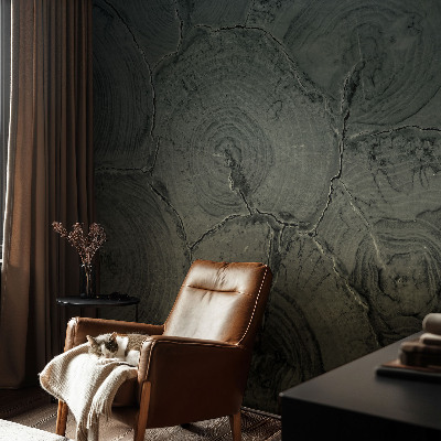 Poszter tapéta falra Fa gyűrűk