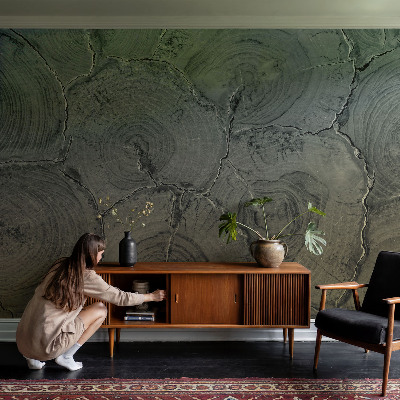 Poszter tapéta falra Fa gyűrűk