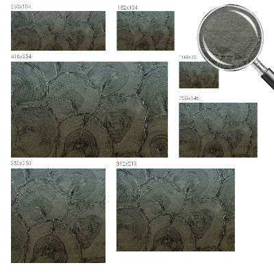 Poszter tapéta falra Fa gyűrűk