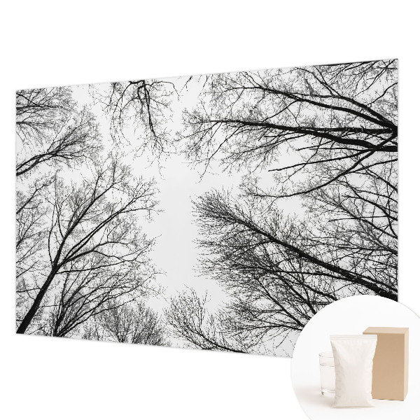 Fotótapéta Csupasz ágak