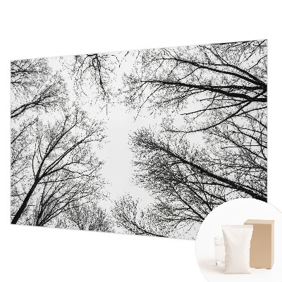 Fotótapéta Csupasz ágak