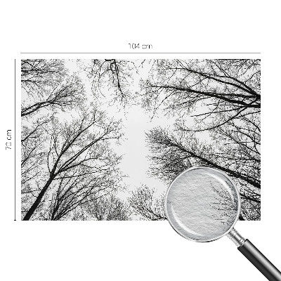 Fotótapéta Csupasz ágak