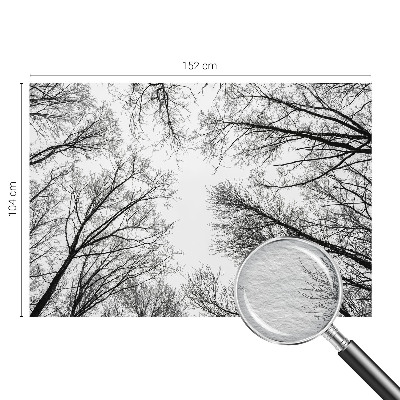 Fotótapéta Csupasz ágak