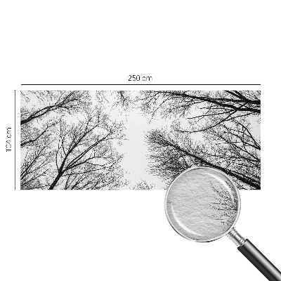 Fotótapéta Csupasz ágak