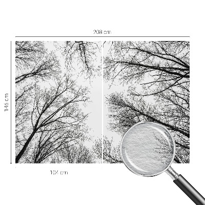 Fotótapéta Csupasz ágak