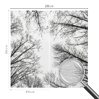 Fotótapéta Csupasz ágak