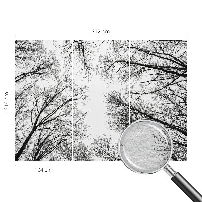 Fotótapéta Csupasz ágak