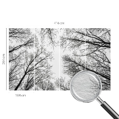 Fotótapéta Csupasz ágak