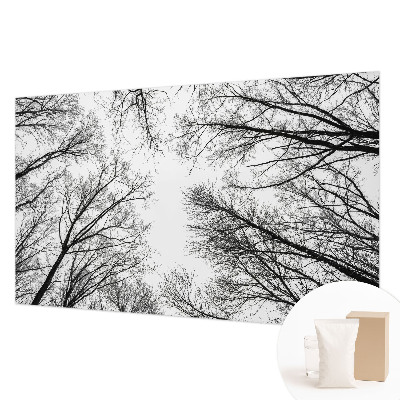 Fotótapéta Csupasz ágak