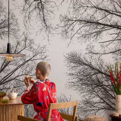 Fotótapéta Csupasz ágak