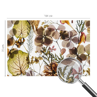 Dekoratív fotótapéta nappaliba Természetes összetétel