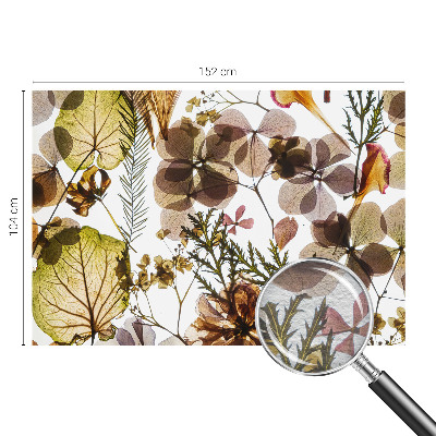 Dekoratív fotótapéta nappaliba Természetes összetétel