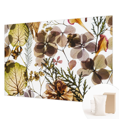 Dekoratív fotótapéta nappaliba Természetes összetétel