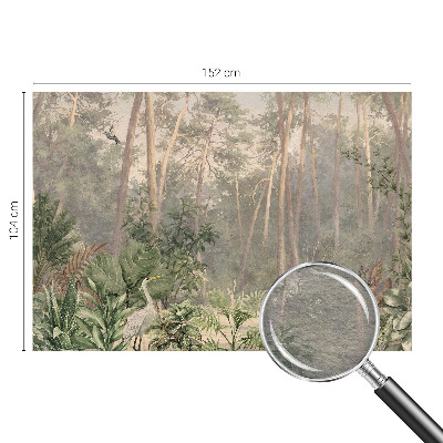 Vlies fotótapéta falra Természetes harmónia