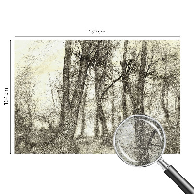 Dekoratív fotótapéta nappaliba Erdei melankólia