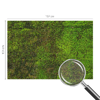 Fotó poszter tapéta Zöld szőnyeg