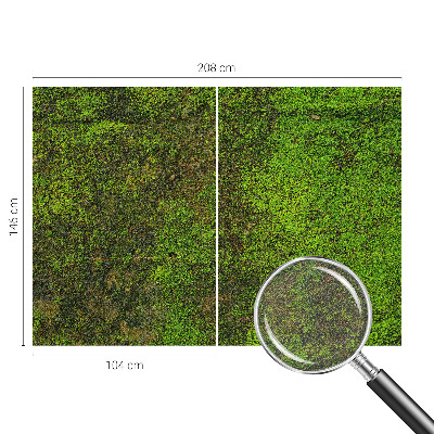 Fotó poszter tapéta Zöld szőnyeg