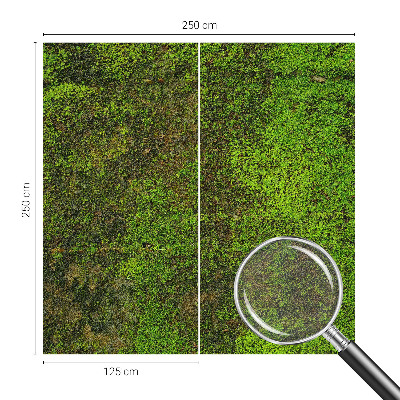 Fotó poszter tapéta Zöld szőnyeg