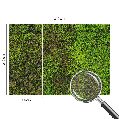 Fotó poszter tapéta Zöld szőnyeg