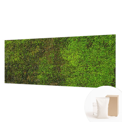 Fotó poszter tapéta Zöld szőnyeg