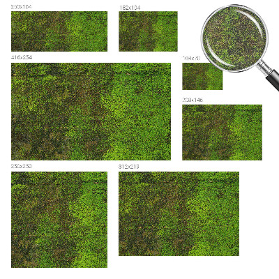 Fotó poszter tapéta Zöld szőnyeg