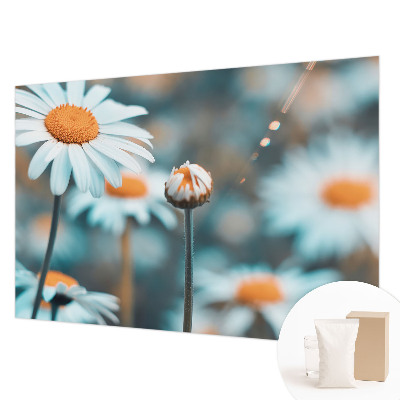 Fali poszter tapéta Kamilla finomság