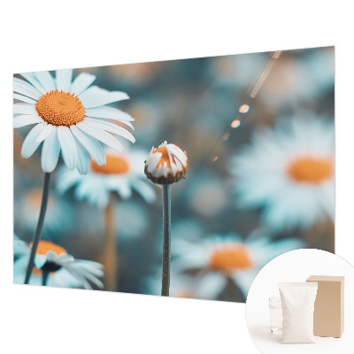 Fali poszter tapéta Kamilla finomság