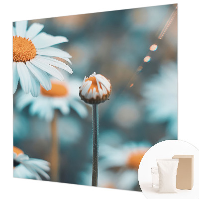 Fali poszter tapéta Kamilla finomság