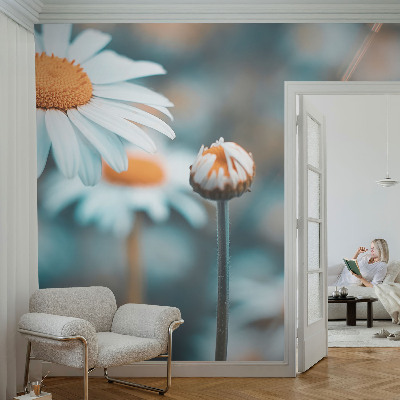 Fali poszter tapéta Kamilla finomság