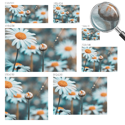 Fali poszter tapéta Kamilla finomság