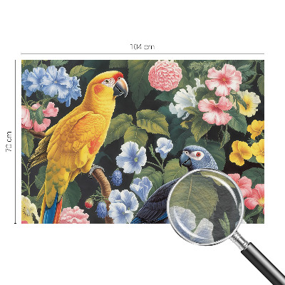 Dekor fotótapéta Egzotikus madarak