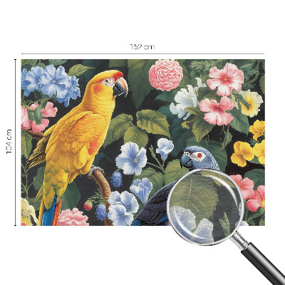 Dekor fotótapéta Egzotikus madarak