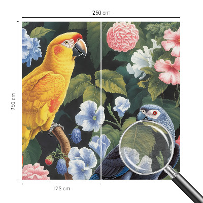 Dekor fotótapéta Egzotikus madarak