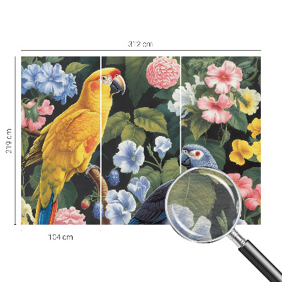 Dekor fotótapéta Egzotikus madarak